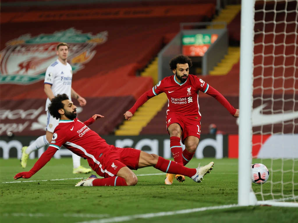 具观赏性的 具观赏性的