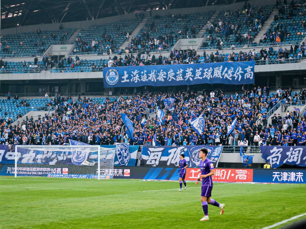 了目前市场 了目前市场